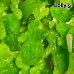 Grenouilles géantes 100g, bonbon en forme de grenouille pour Halloween.